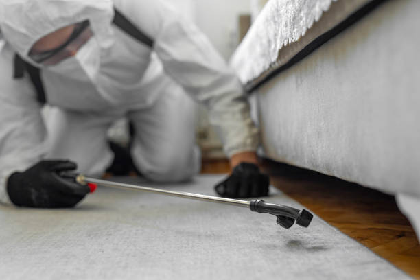 Professional Termite Control technician working in Buffalo, MN