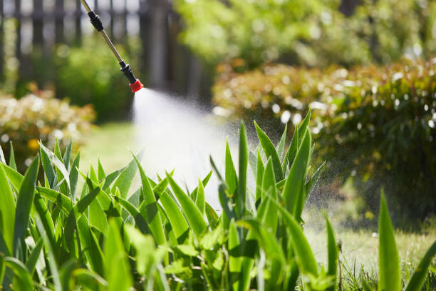 24/7 Emergency Termite Control experts in Buffalo, MN