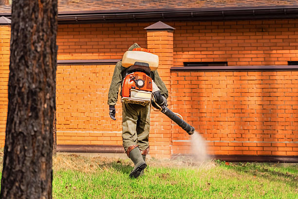 Top rated local Termite Control specialists in Buffalo, MN